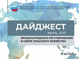 Июль, 2025