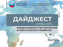 Октябрь, 2025
