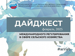 Февраль, 2025