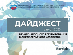 Август, 2025
