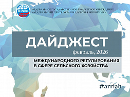 Февраль, 2026