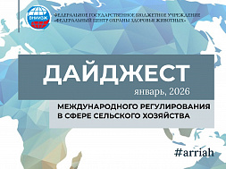 Январь, 2026