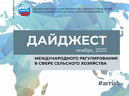 Ноябрь, 2025